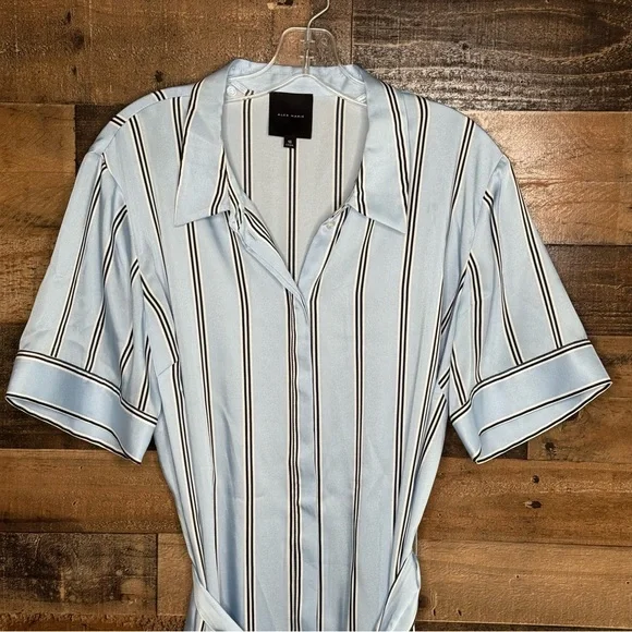 Alex Marie Blue and White Buttoned Midi Dress - Picture 2 of 9